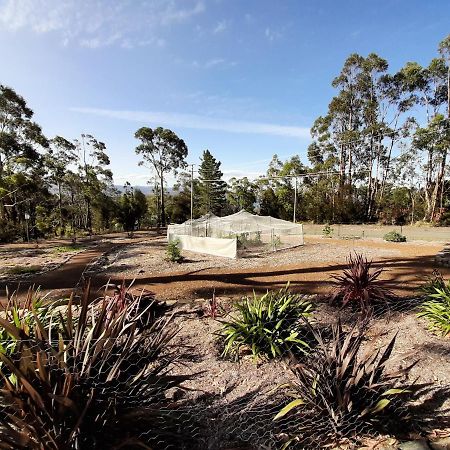 Spring Beach Garden Retreat Buitenkant foto