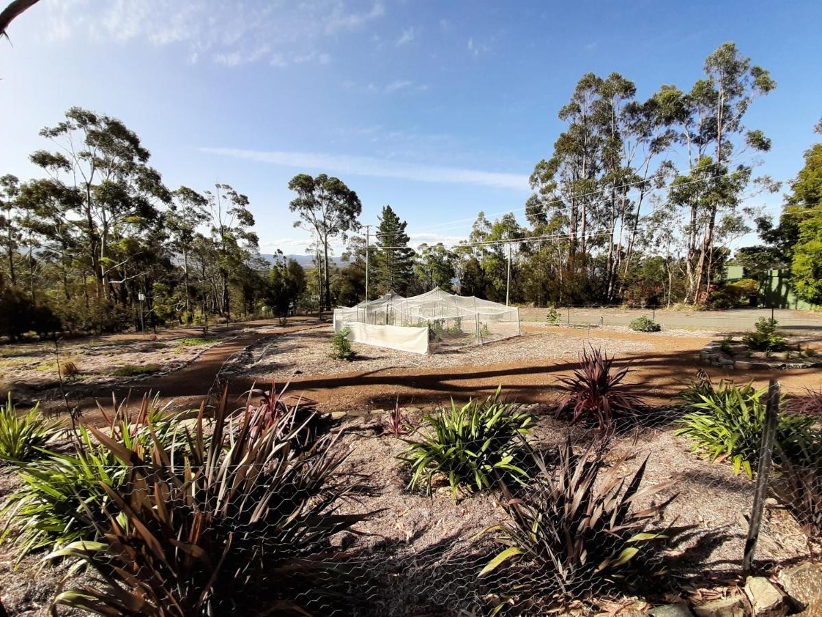 Spring Beach Garden Retreat Buitenkant foto